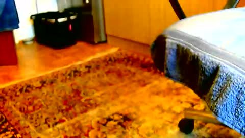 Snapshot of dammerl6 chatting on 2, 12, 2025 Dammerl online show from 2, 12, 2025