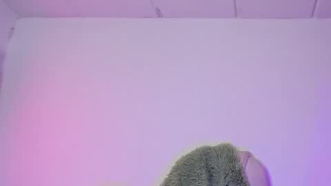 Criss online show from 6, 2, 2025