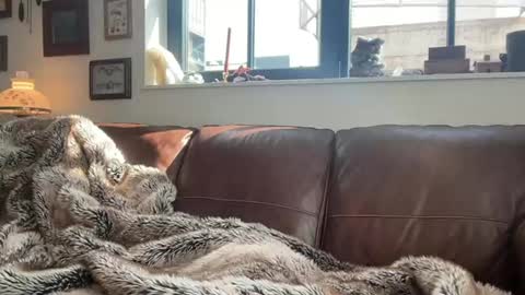 Snapshot of danielbishopxxx chatting on 1, 3, 2026 Daniel Bishop Mason online show from 1, 3, 2026