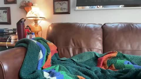 Snapshot of danielbishopxxx chatting on 21, 5, 2026 Daniel Bishop Mason online show from 21, 5, 2026