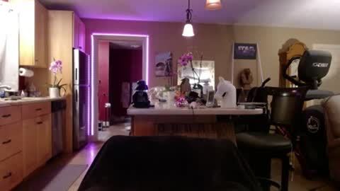 Snapshot of danikawhite69 chatting on 17, 7, 2026 DanikaWhite69 online show from 17, 7, 2026