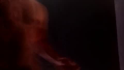 daniwood473904 online show from 4, 4, 2026