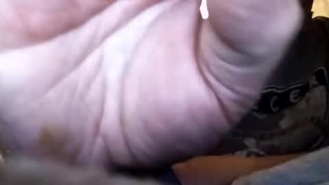 dannowisc online show from 1, 2, 2026