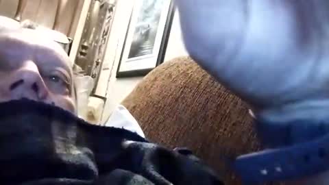 dannowisc online show from 15, 3, 2026