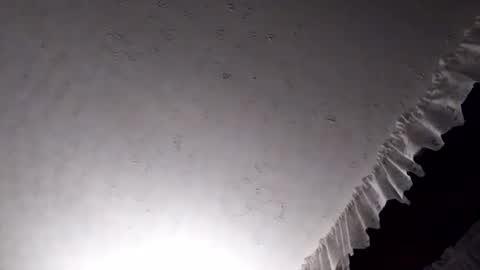 dannowisc online show from 7, 4, 2026