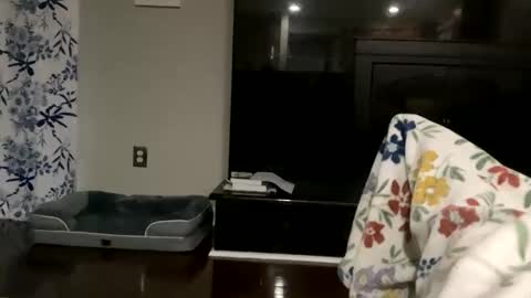 Snapshot of dannyboy621 chatting on 17, 10, 2025 dannyboy621 online show from 17, 10, 2025