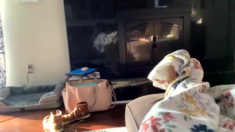 Snapshot of dannyboy621 chatting on 2, 11, 2025 dannyboy621 online show from 2, 11, 2025