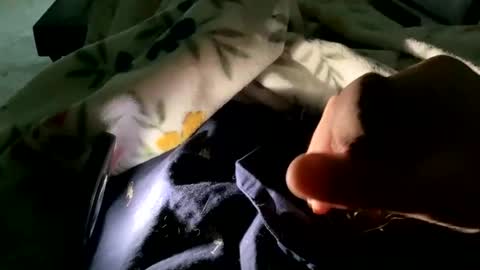 Snapshot of dannyboy621 chatting on 9, 11, 2025 dannyboy621 online show from 9, 11, 2025