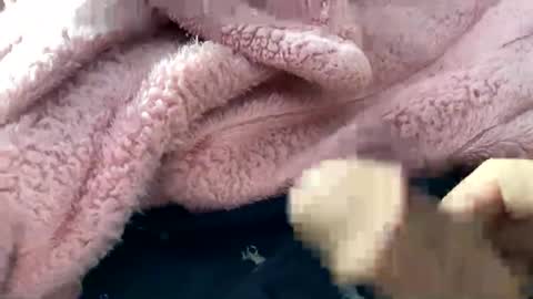 Snapshot of dannyboy621 chatting on 10, 11, 2025 dannyboy621 online show from 10, 11, 2025