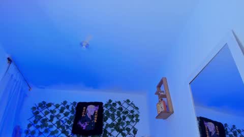 Snapshot of dante_cooper_0 chatting on 12, 12, 2024 dante_cooper_0 online show from 12, 12, 2024