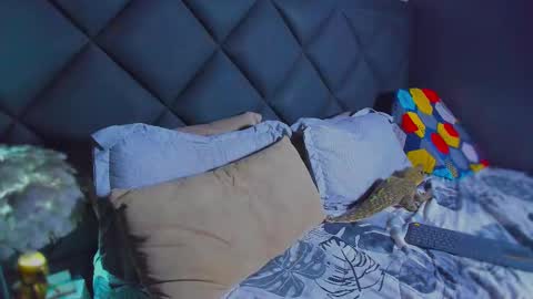 Snapshot of dany_dryy chatting on 17, 1, 2026 Dany online show from 17, 1, 2026