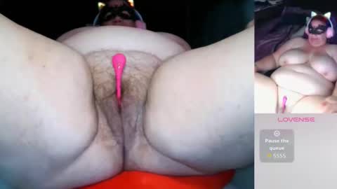 darina_bbw online show from 1, 3, 2026