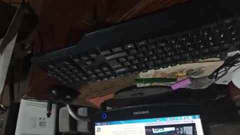 Snapshot of dario48 chatting on 3, 11, 2025 dario48 online show from 3, 11, 2025