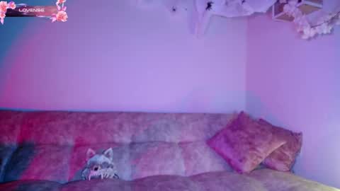 Snapshot of dark__nymph chatting on 30, 10, 2025 Dark online show from 30, 10, 2025