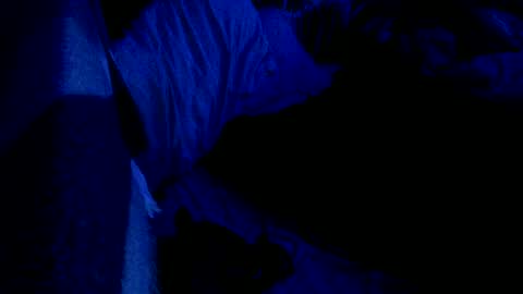 Snapshot of darkroast666 chatting on 12, 7, 2026 Vont Alexander DWM I online show from 12, 7, 2026