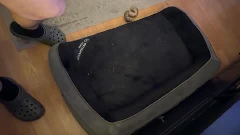 Snapshot of datguy127 chatting on 18, 2, 2025 Datguy127 online show from 18, 2, 2025