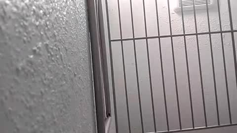 Snapshot of david_stone1969 chatting on 25, 1, 2025 david_stone1969 online show from 25, 1, 2025