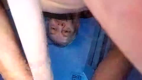 Snapshot of david_stone1969 chatting on 8, 3, 2025 david_stone1969 online show from 8, 3, 2025