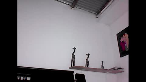 davidstuart online show from 23, 1, 2025