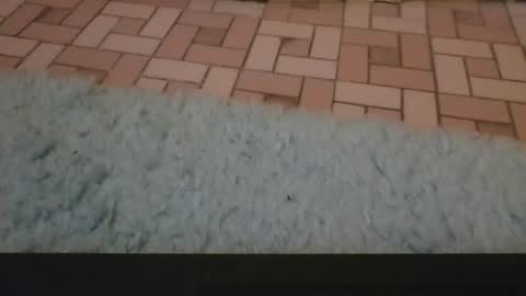 David online show from 3, 4, 2026