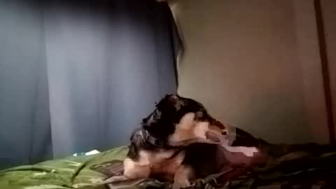 Snapshot of davidjose1995 chatting on 29, 12, 2024 Juice cock online show from 29, 12, 2024