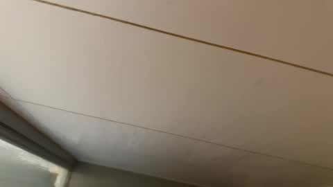 Hornybear online show from 19, 1, 2026