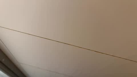 Hornybear online show from 25, 4, 2026