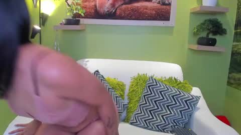dayan_torres online show from 11, 5, 2026