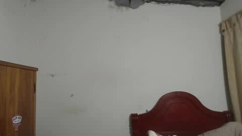 Dylon online show from 4, 10, 2025