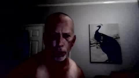 dcoester online show from 17, 5, 2026