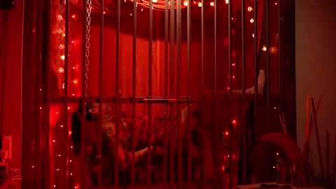 D Devours Kitty online show from 15, 2, 2026