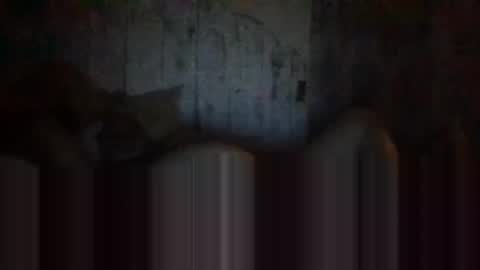 Snapshot of deepdiveme chatting on 15, 4, 2026 deepdiveme online show from 15, 4, 2026