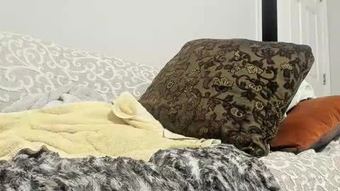 Snapshot of deeznutz343 chatting on 24, 2, 2025 Deez Nutz online show from 24, 2, 2025