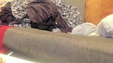 Snapshot of deeznutz343 chatting on 9, 9, 2025 Deez Nutz online show from 9, 9, 2025