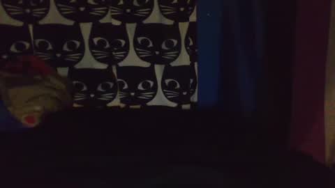 Snapshot of dekustick__ chatting on 9, 4, 2026 CozyClementine online show from 9, 4, 2026