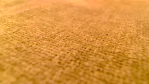 deliciaalove online show from 17, 12, 2024