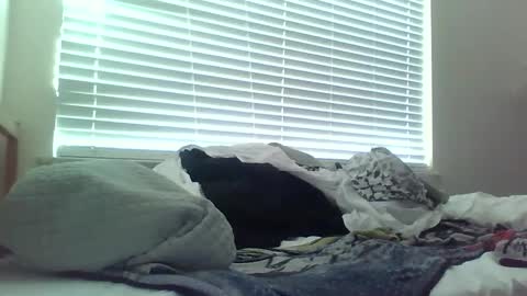 delightfuldark online show from 15, 2, 2025