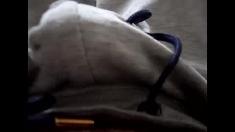 deliv_shopi online show from 15, 1, 2026