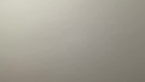 Delivery      online show from 19, 12, 2024