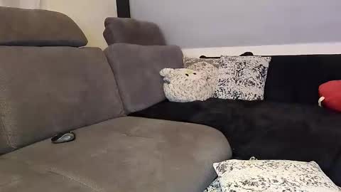 Denise and Brad online show from 12, 11, 2025