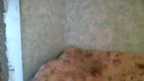 DennisXCarol online show from 23, 4, 2026