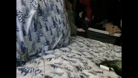 deroseblack online show from 13, 1, 2025