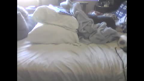 deroseblack online show from 9, 10, 2025