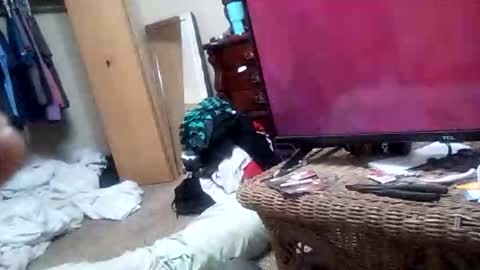 Beeasy online show from 28, 4, 2026