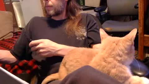 desolation2012 online show from 1, 11, 2025