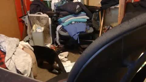 desolation2012 online show from 27, 3, 2026