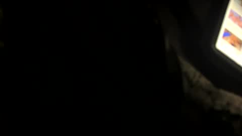 dfcbeibi19 online show from 16, 11, 2025