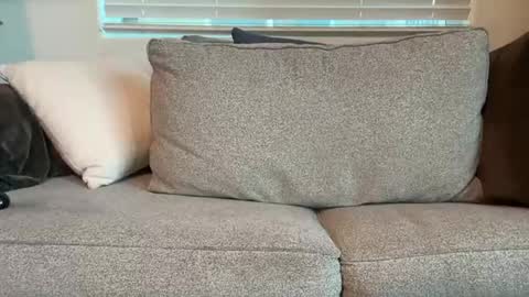 dgafsd online show from 15, 12, 2025