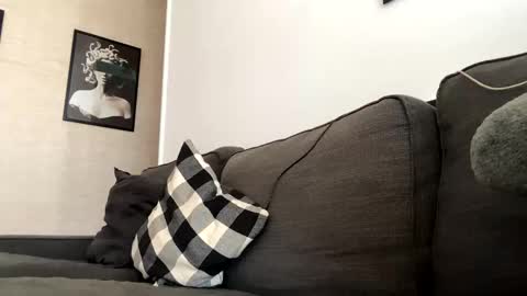 Dhalia online show from 3, 11, 2025