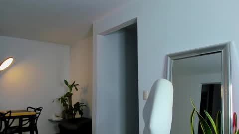 Snapshot of diagostone chatting on 15, 1, 2025 Diego online show from 15, 1, 2025